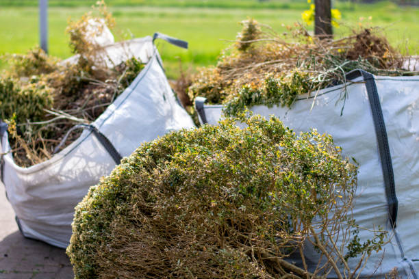 Best Electronics Removal Services  in Greenbelt, MD